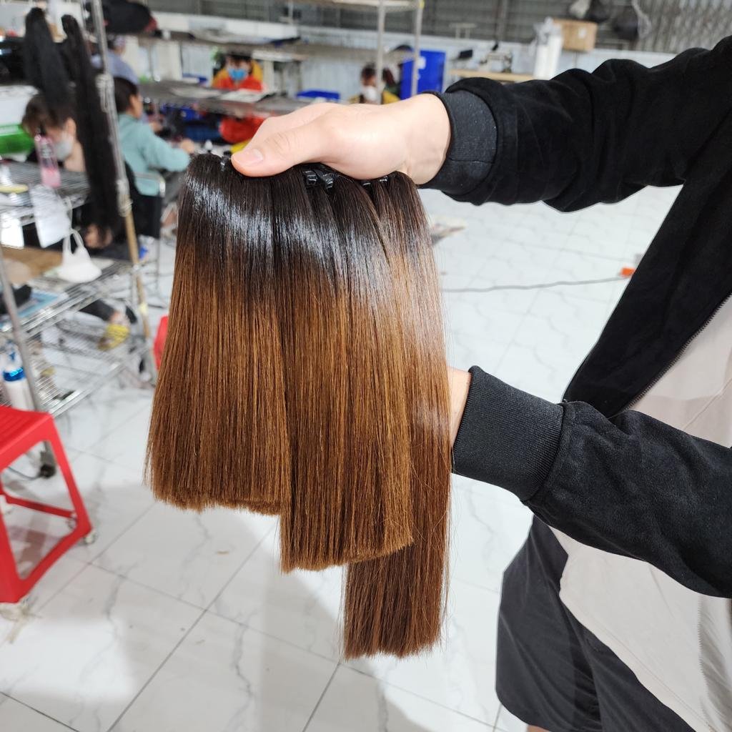 Raw Vietnamese Bone Straight Unprocessed Virgin Brown Burgundy Color Top Quality Vietnamese Cuticle Aligned Raw Human Hair Soft