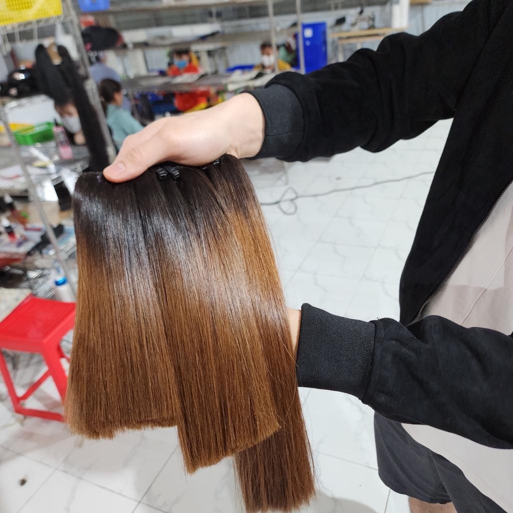 Raw Vietnamese Bone Straight Unprocessed Virgin Brown Burgundy Color Top Quality Vietnamese Cuticle Aligned Raw Human Hair Soft