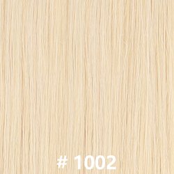 #1002