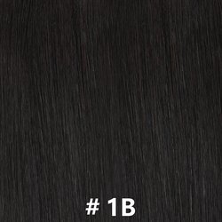 #1B