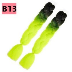 B13
