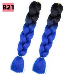 B21