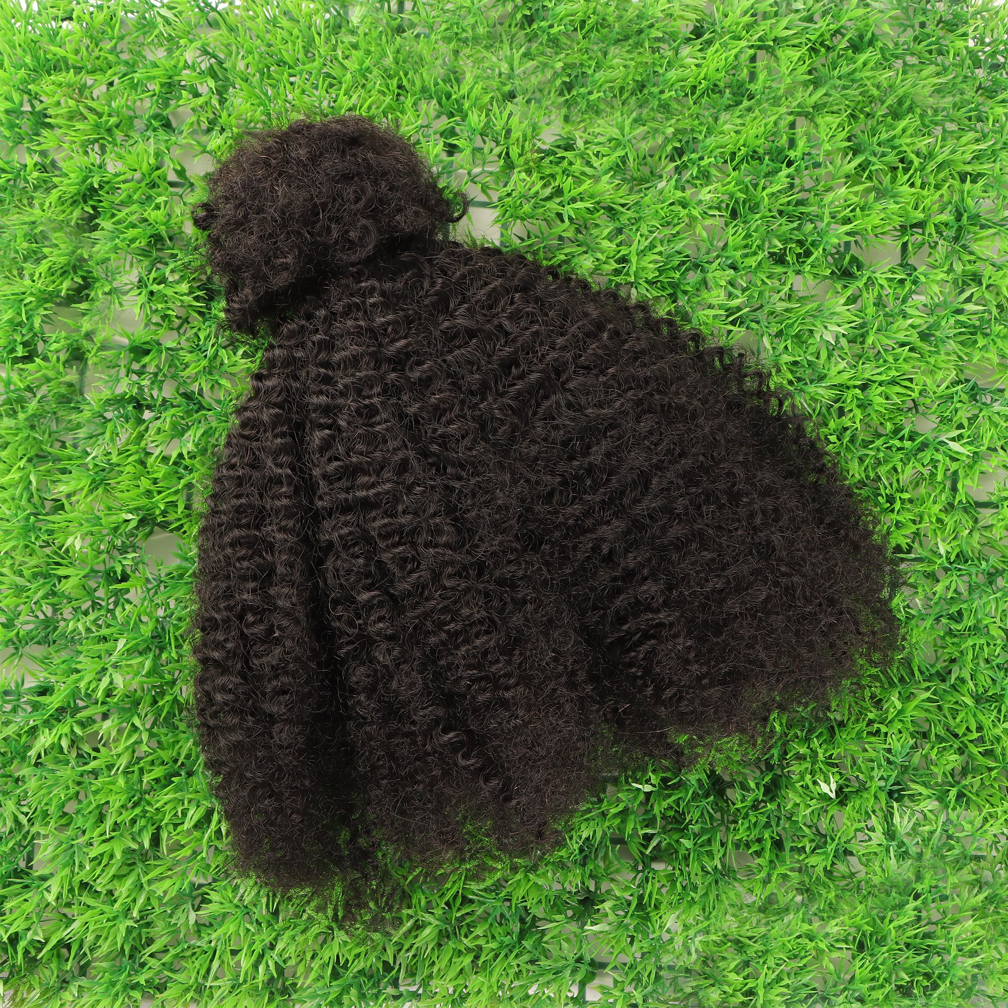 Orientfahsion Hair Bulk 100g 4C Afro Kinky Virgin Human Hair Bundles 100% Handmade Dreadlocks Extensions Bulk for Locs