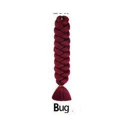 Bug