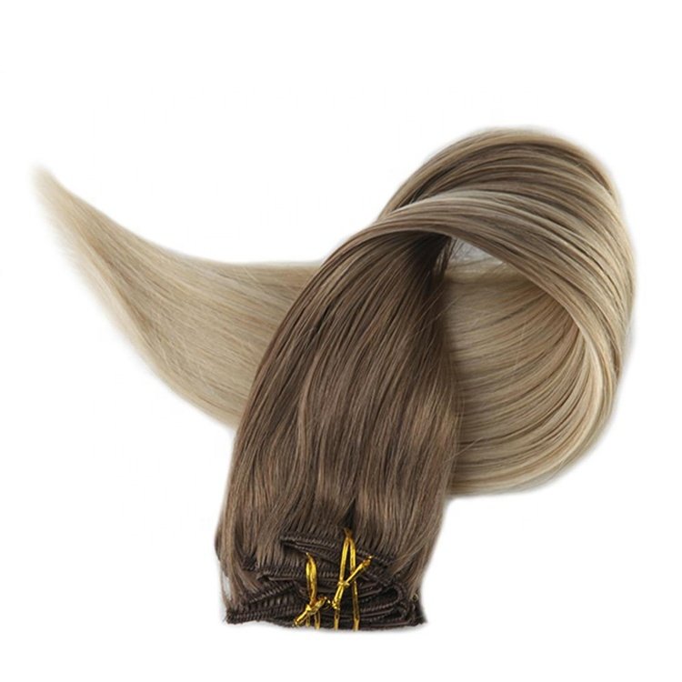 Wholesale Price High Quality European remy human hair 100g-260g per set Clip In Hair Extensions