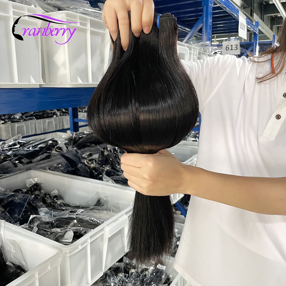 Cranberry Mink Brazilian Human Hair Weave Bundles with Closure Raw Mink Indian Human Hair Extension Virgin Cuticle Aligned Hair