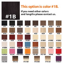 #1B