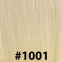 #1001