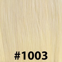 #1003
