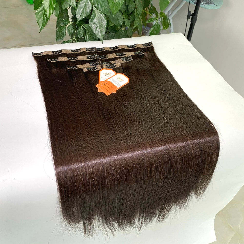 High Quality 100% Remy Clip in Human Hair Extensions Brown Color Made From Vietnamese Raw Hair