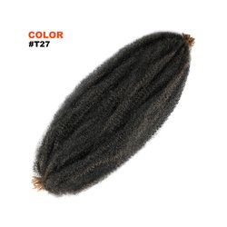 T27