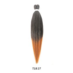 T1B27
