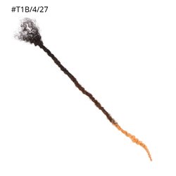 1B-4-27