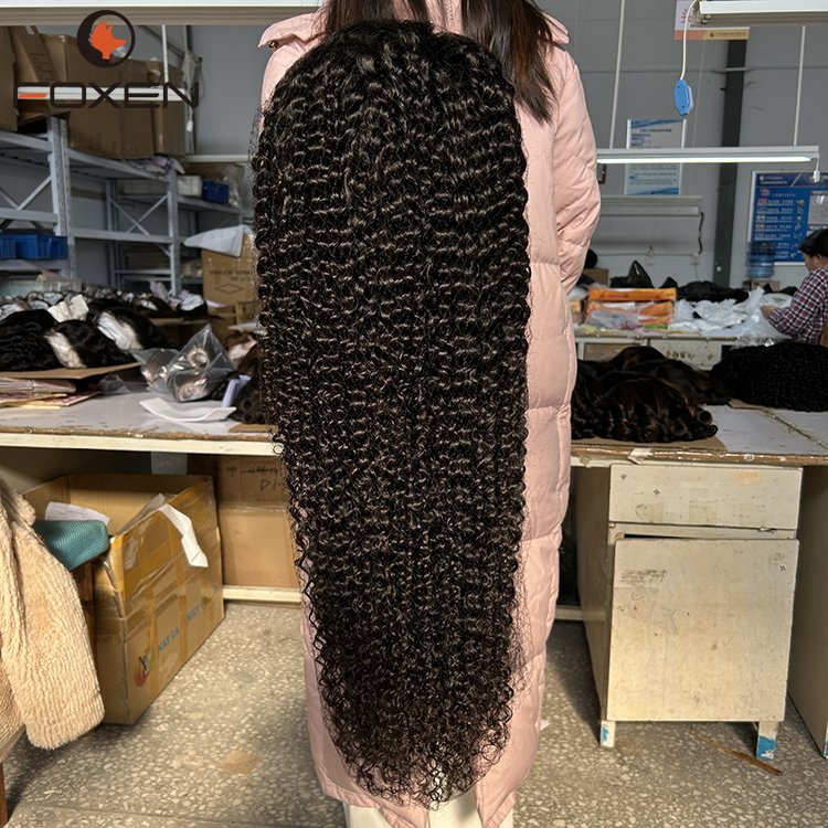Raw Indian Hair HD Lace Front Wig,Virgin Cuticle Aligned 100% Glueless Full Lace Human Hair Wig,Lace Frontal Wig For Black Women