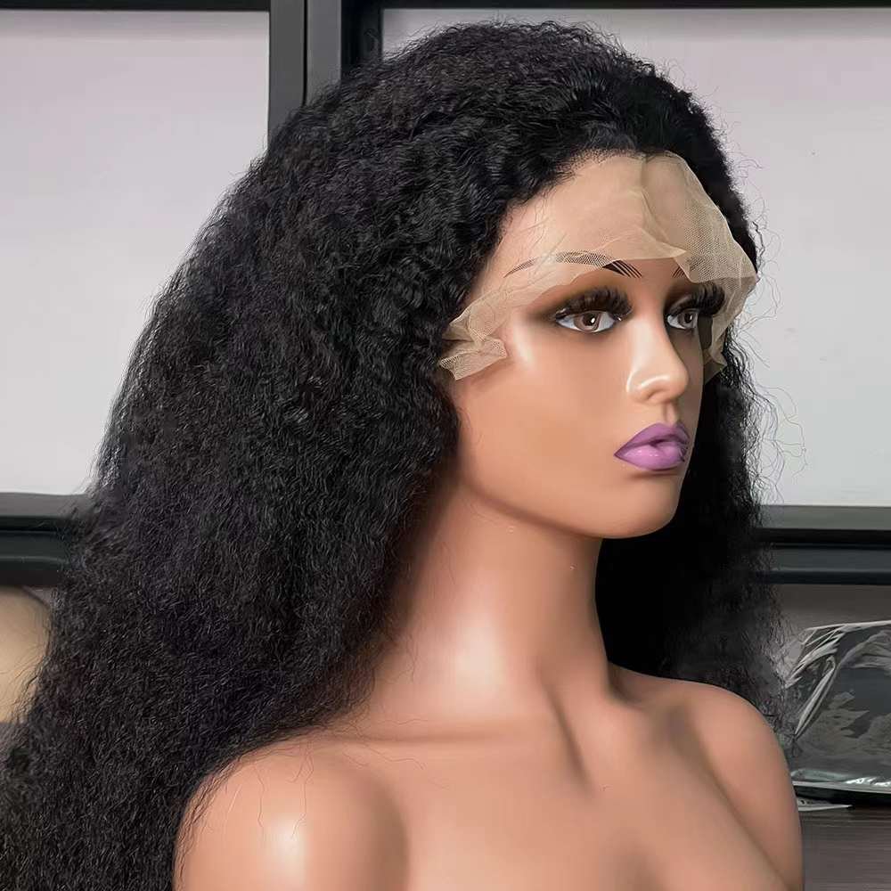 250% Density Glueless Full Lace Wigs 100% Virgin Brazilian Natural Human Hair Wigs Kinky Straight13x4 Lace Front Wig human hair