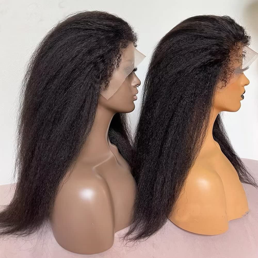 250% Density Glueless Full Lace Wigs 100% Virgin Brazilian Natural Human Hair Wigs Kinky Straight13x4 Lace Front Wig human hair