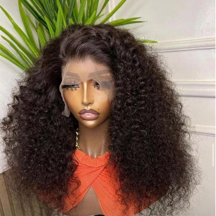 Frontal Glueless Full Hd Lace Wig,Cuticle Aligned Virgin Raw Indian Hair Wig,Unprocessed 100% Full Lace Human Hair Wig