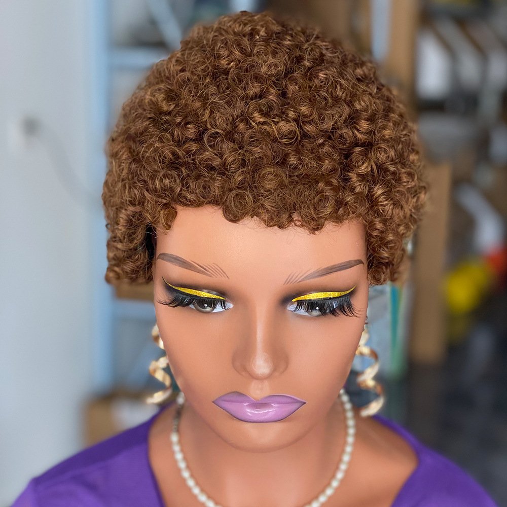 2024 Hot Sale 22.5 Inch Afro Wigs Nature Colors Black Brown Short Curly Human Hair Wigs For Women