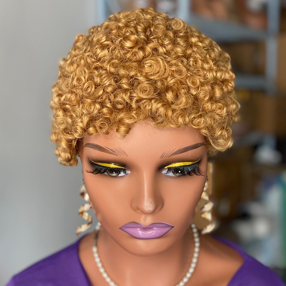 2024 Hot Sale 22.5 Inch Afro Wigs Nature Colors Black Brown Short Curly Human Hair Wigs For Women