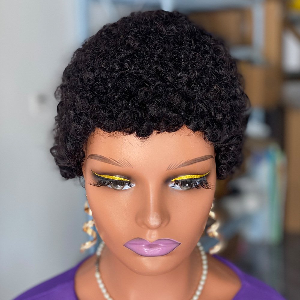2024 Hot Sale 22.5 Inch Afro Wigs Nature Colors Black Brown Short Curly Human Hair Wigs For Women