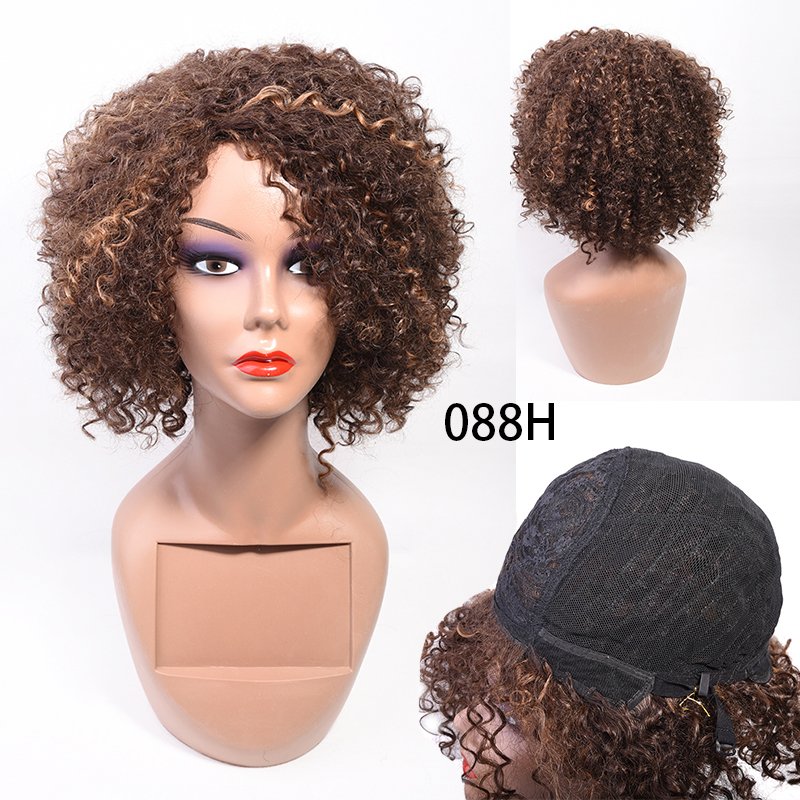 Vast Short Afro Kinky Curly Human Hair Wigs for Black Women Brazilian Virgin Short Curly Afro Wigs Human Hair None Lace 150% Den