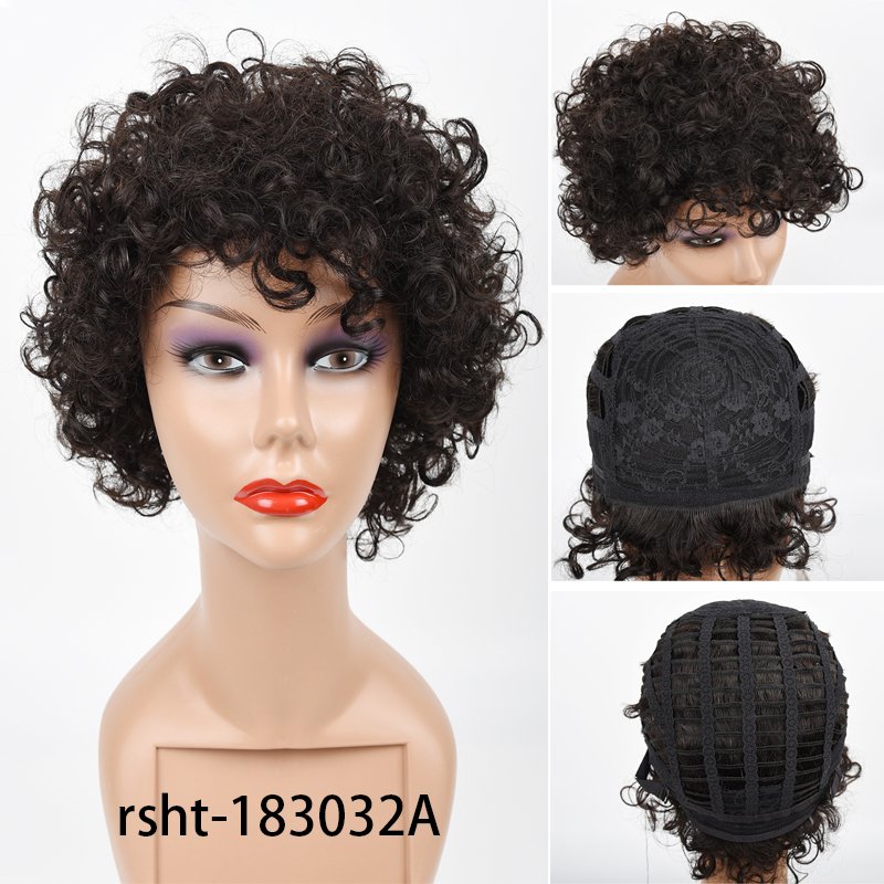 Vast Short Afro Kinky Curly Human Hair Wigs for Black Women Brazilian Virgin Short Curly Afro Wigs Human Hair None Lace 150% Den