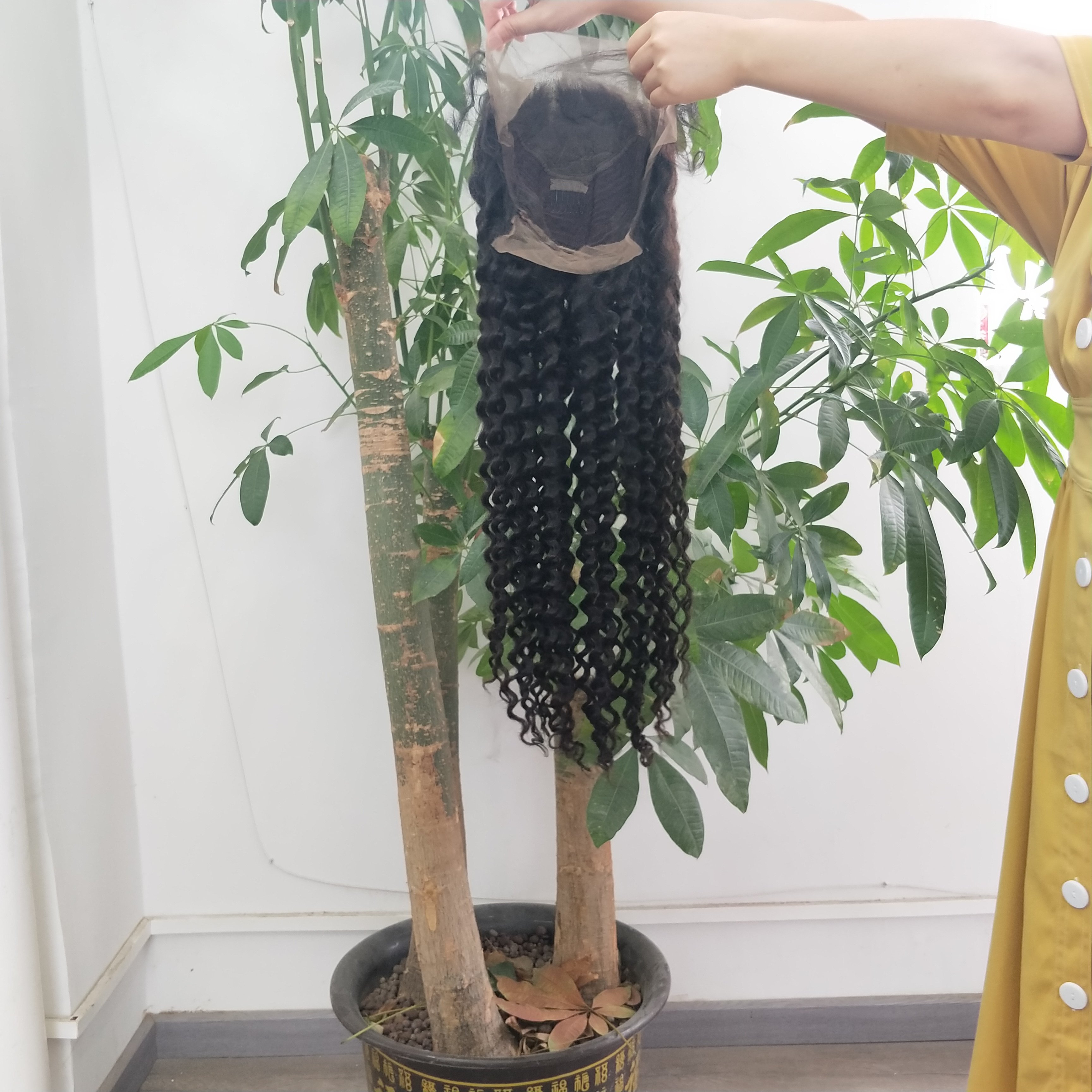 Raw Cambodian Hair Wig,200 Density 30 Inch Hd Deep Wave Lace Frontal Wig 13x4 Lace Front Human Hair Wigs with Baby Hair