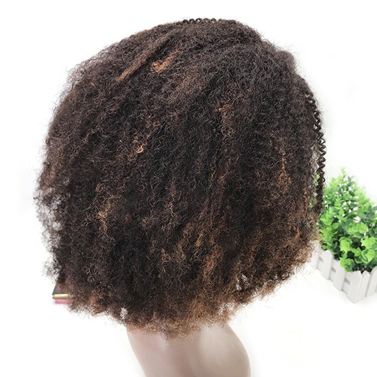 12A Brazilian Human Hair Ombre Colored Wig 3a 3b 3c Full Lace Front Natural Transparent HD Lace Wigs 13X6 13X4 Kinky Curly 4a 4b