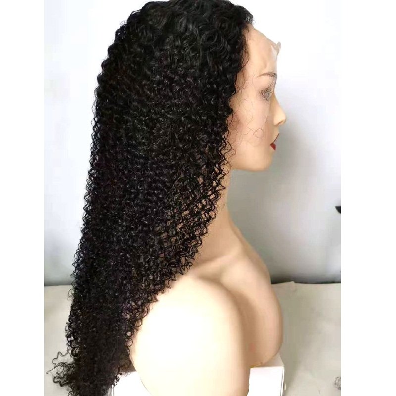 Frontal Glueless Hd Lace Wigs, Cuticle Aligned Virgin Human Hair Wig, Unprocessed 100% Hd Lace Human Hair Wig For Women