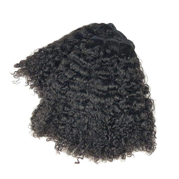 Hot Sale Burmese Curly Hair Bundles Kinky Curly Deep Curly Jerry Curly Vietnamese Virgin Human Hair