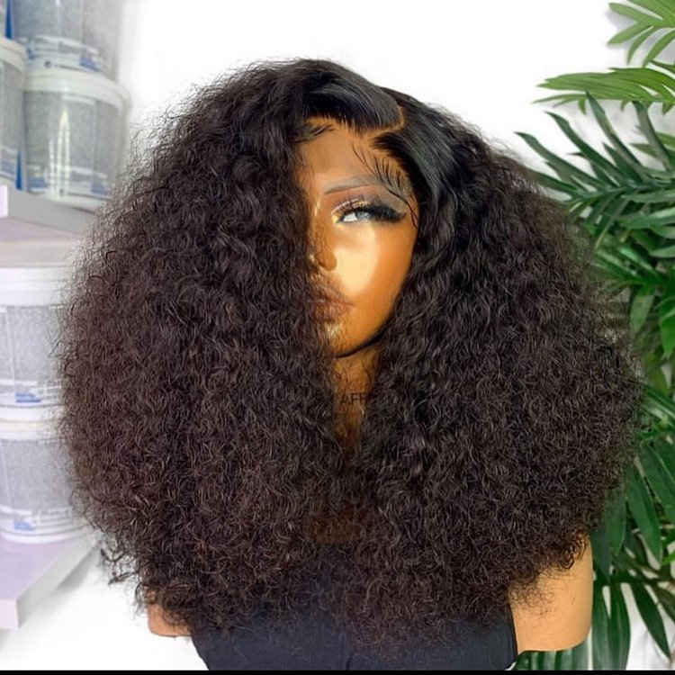 Wholesale 5X5 13X4 Lace Frontal Wig Kinky Brazilian Human Hair Wigs Plucked Hair Glueless 13X6 HD Lace Frontal Wigs