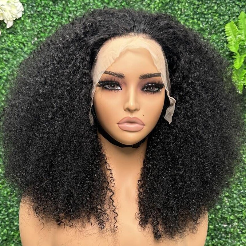 Cheap Private Label 13x4 Full Lace Frontal Vietnamese Raw Hair Wigs Vendors 250% Density Afro Kinky Curly Human Hair Wigs