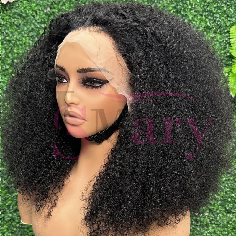 Cheap Private Label 13x4 Full Lace Frontal Vietnamese Raw Hair Wigs Vendors 250% Density Afro Kinky Curly Human Hair Wigs