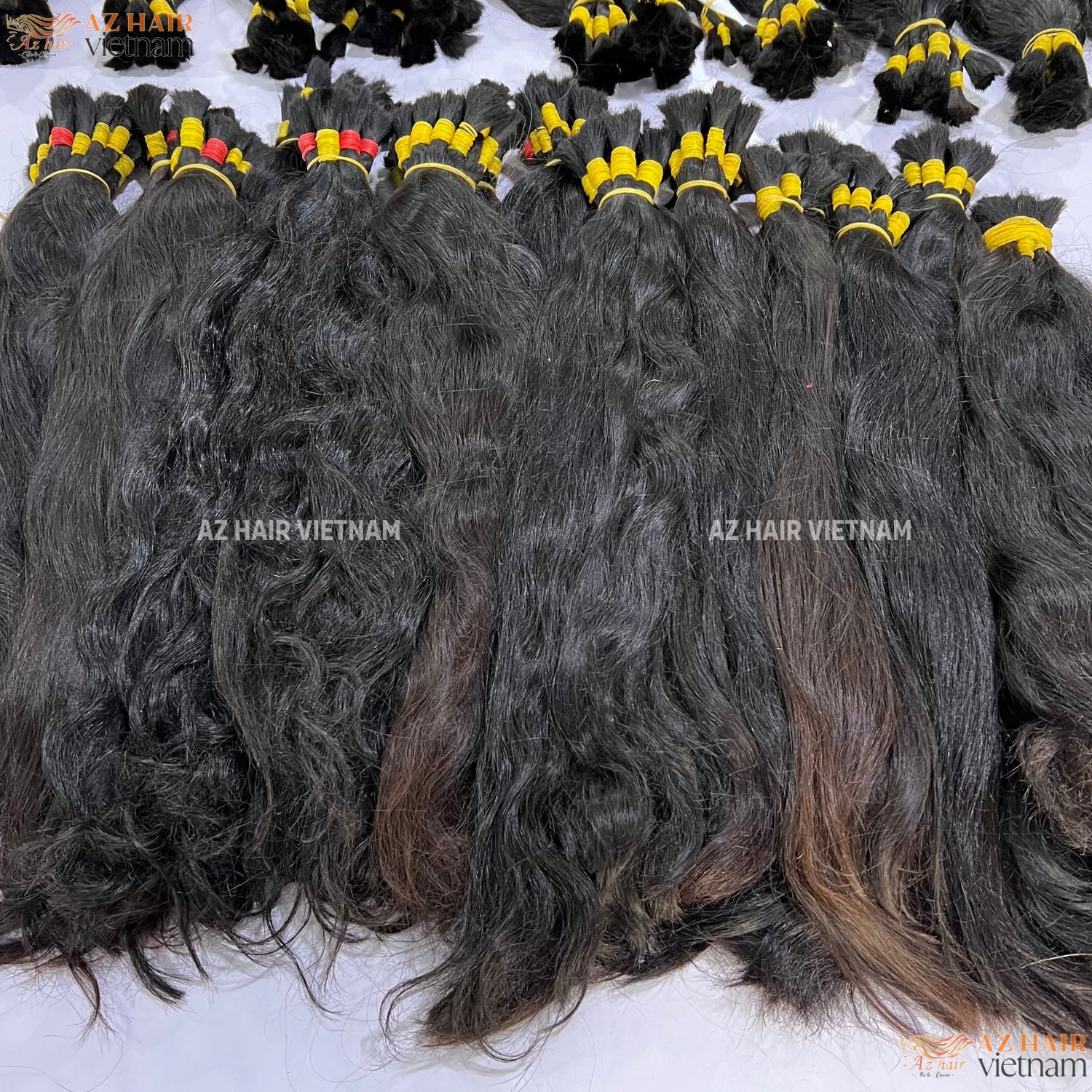 One Single Donor Natural Straight Human Hair Best Quality Vietnamese Raw Unprocessed Hair Wholesale Price In AZ Hair Vendor