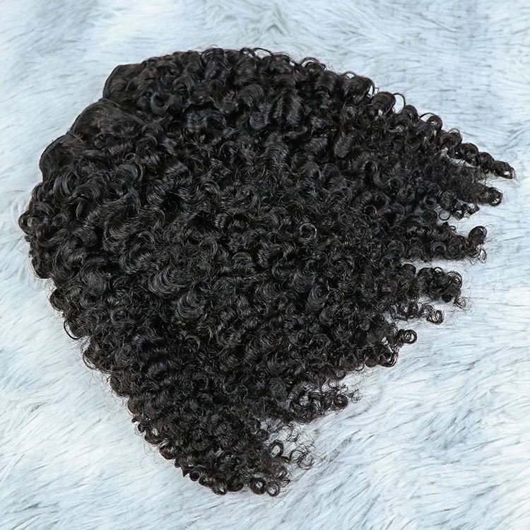 Free Sample K S WIGS Brazilian Hair Bundle Human Hair Weft Weave Hair Extensions DHL Style Time