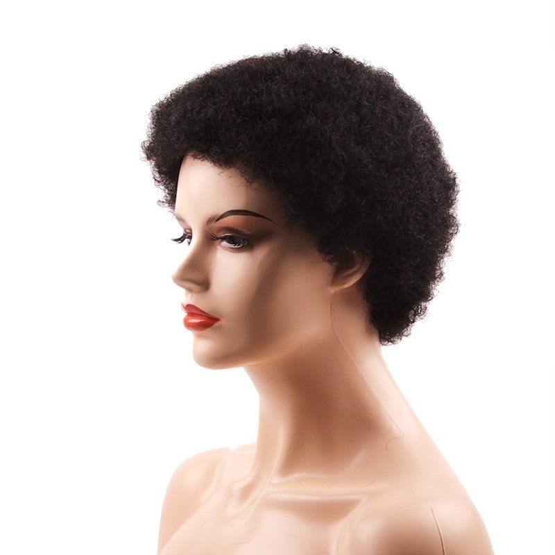 Short Fluffy Kinky Hair Afro Kinky Curly Wig Black Human Hair Wigs For Black Women