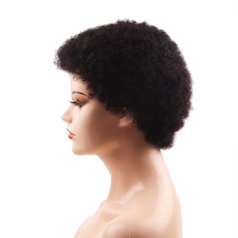 Short Fluffy Kinky Hair Afro Kinky Curly Wig Black Human Hair Wigs For Black Women