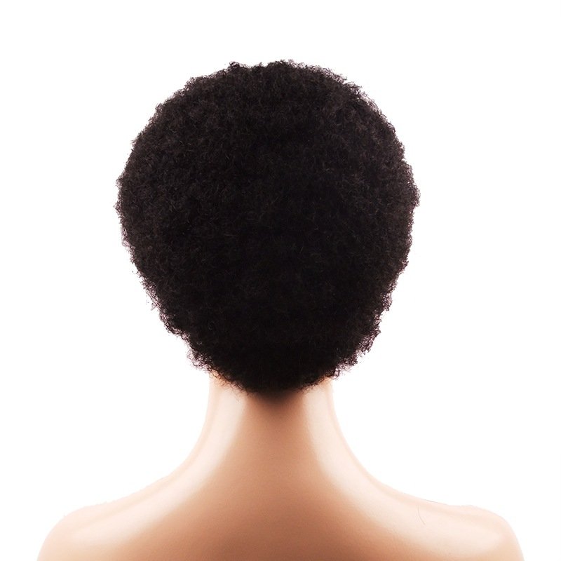 Short Fluffy Kinky Hair Afro Kinky Curly Wig Black Human Hair Wigs For Black Women