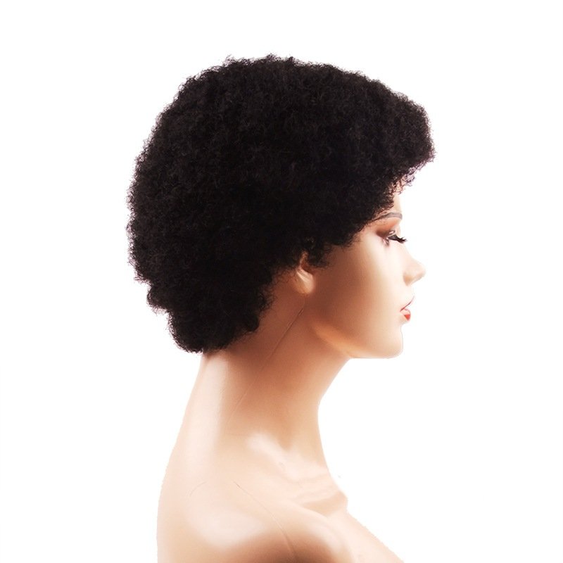 Short Fluffy Kinky Hair Afro Kinky Curly Wig Black Human Hair Wigs For Black Women