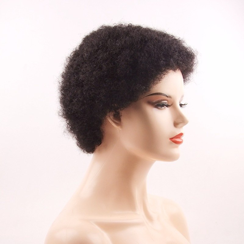 Short Fluffy Kinky Hair Afro Kinky Curly Wig Black Human Hair Wigs For Black Women