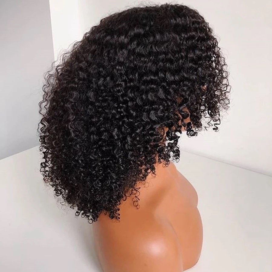 Virgin Brazilian Hair Curly Wigs Lace Front Cheap Cuticle Aligned Hair Wig Human Hair Full Lace Wigs for Black Natural Women