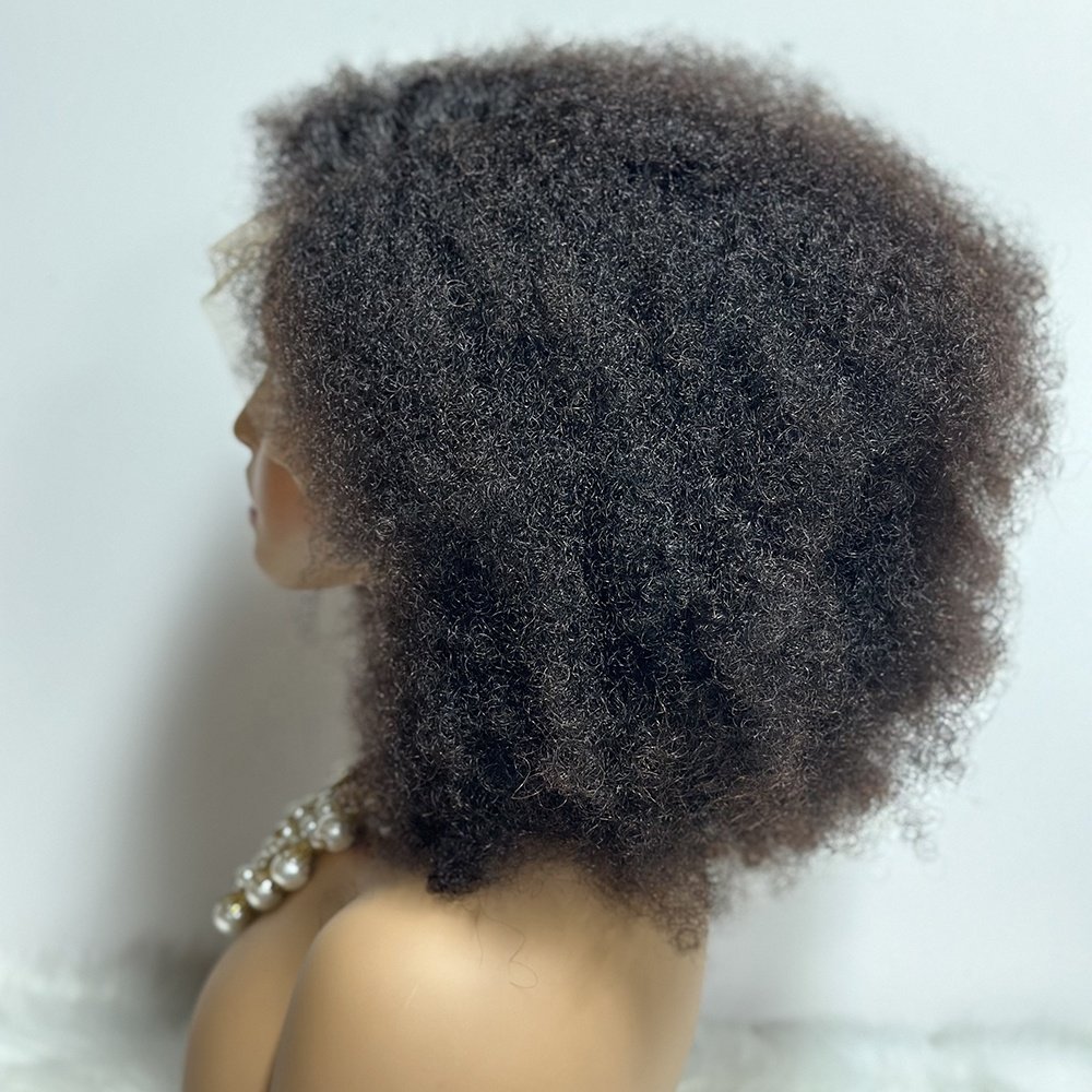 Wholesale Kinky Curly Front Lace Human Hair Wig Natural lace front closure raw human hair wig afro kinky curly wig