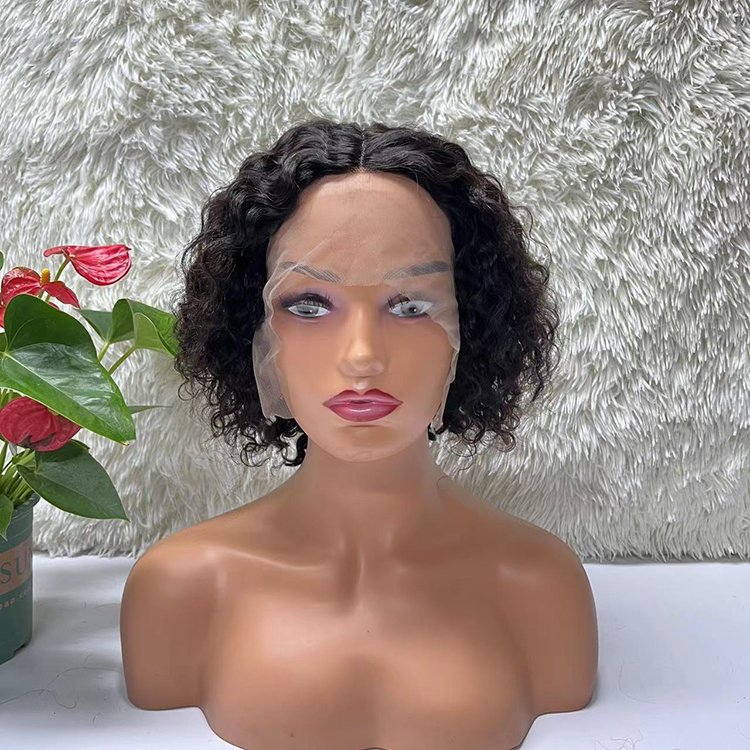 100% Original Human Hair Hd Transparent Swiss Lace African Curly Curly Human Hair Wig For Black Women