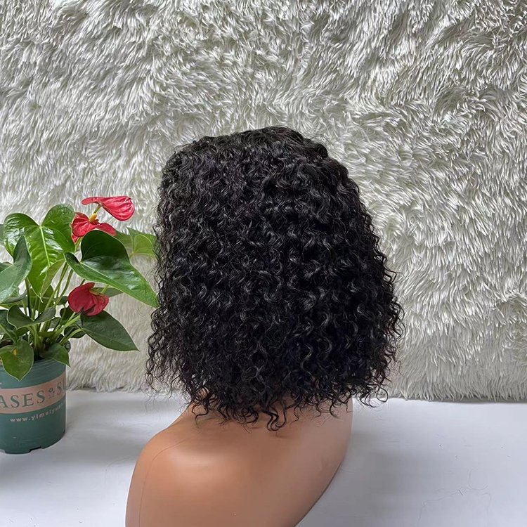 100% Original Human Hair Hd Transparent Swiss Lace African Curly Curly Human Hair Wig For Black Women