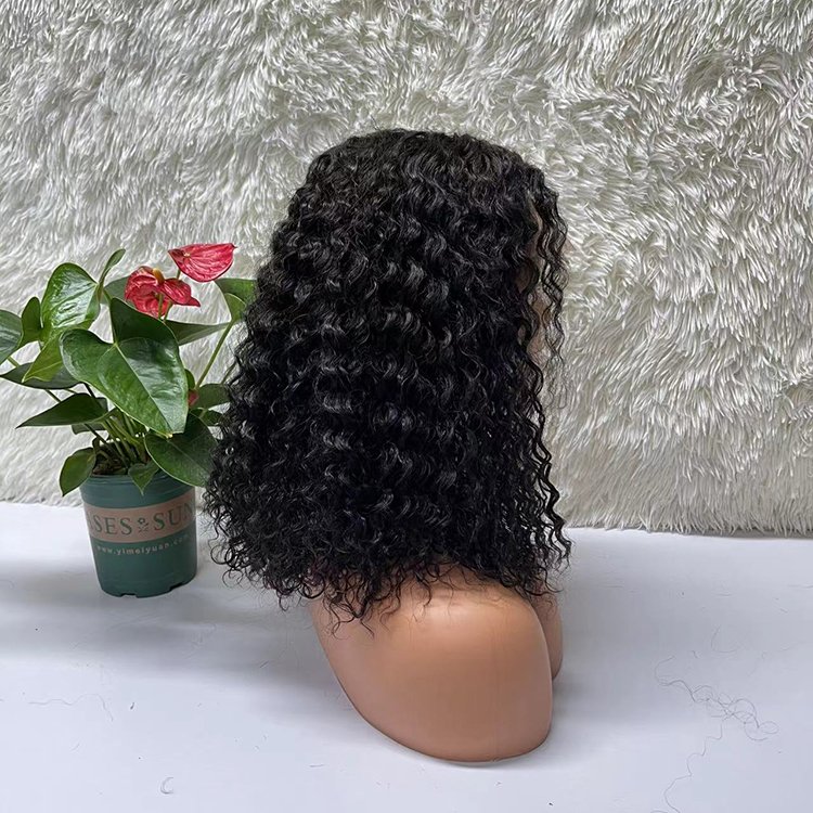 100% Original Human Hair Hd Transparent Swiss Lace African Curly Curly Human Hair Wig For Black Women