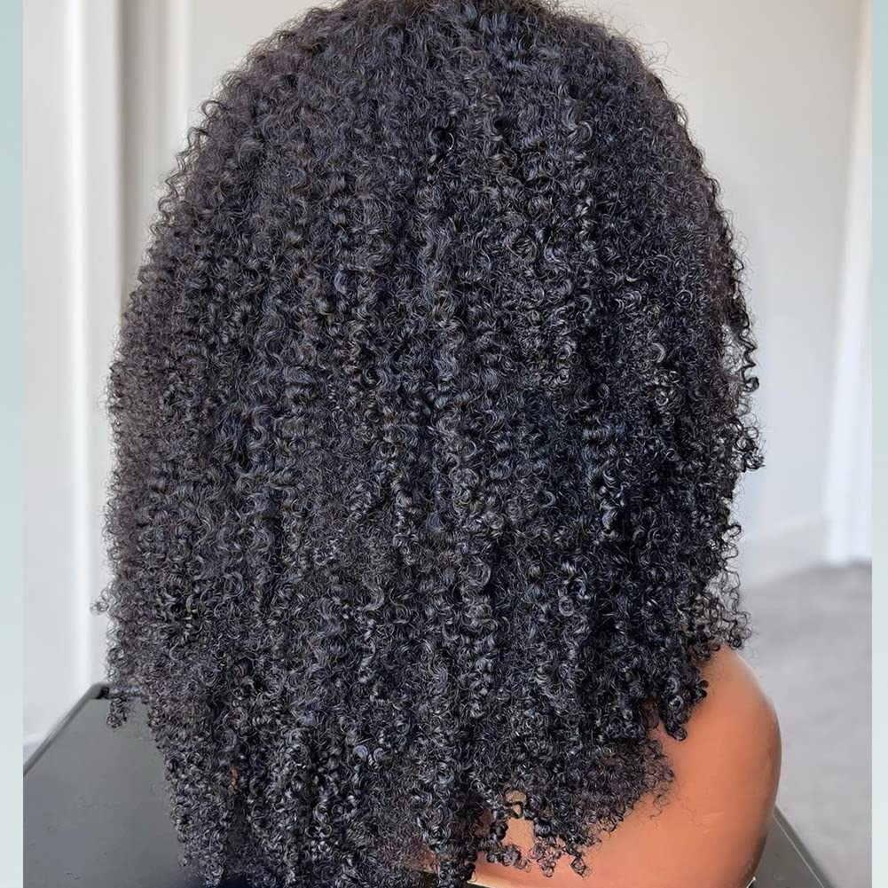 Machine Made Afro Kinky Curly Wig Hot Human Hair Wig For Black Women 100% Human Hair Cheap 250% Wig