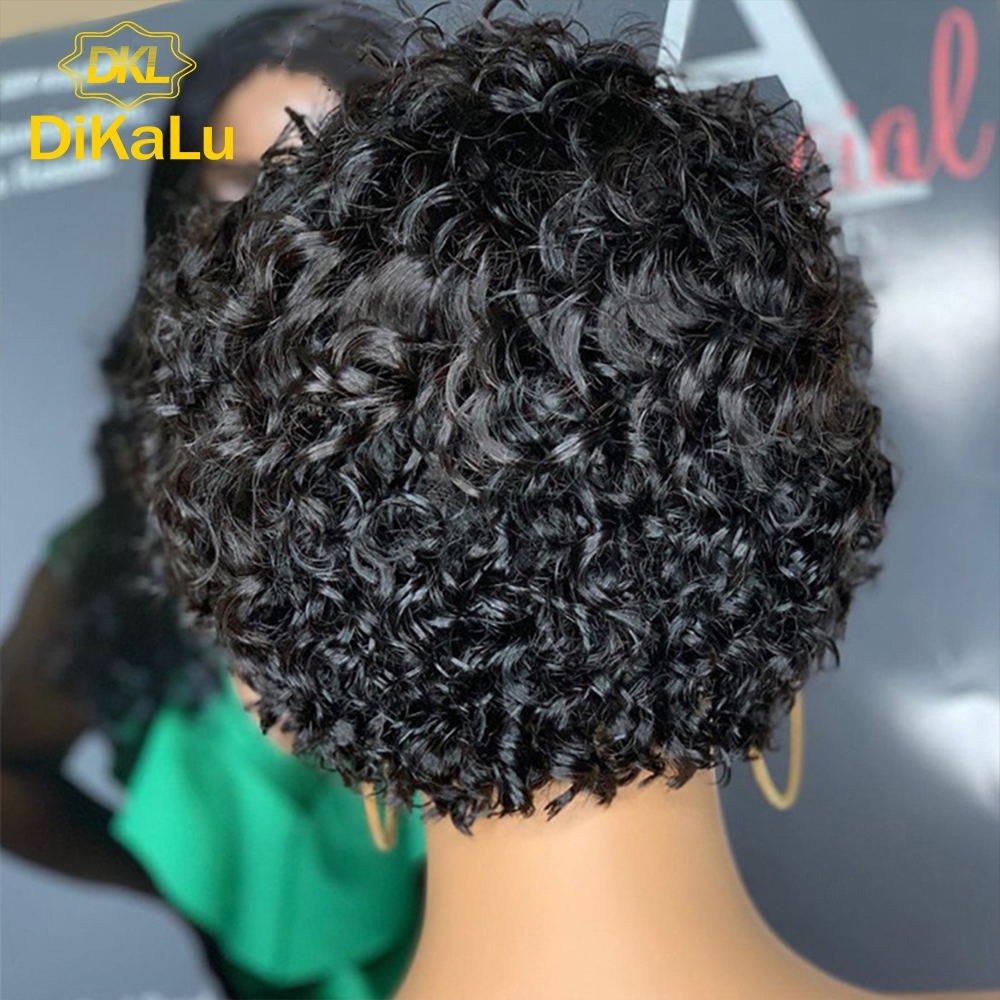 Top Quality HD Lace 13x4 13x6 Short Pixie Cut Wig,8-14 inch Transparent HD Short Curly Bob Wig,Bleached Knots HD Human Hair Wig
