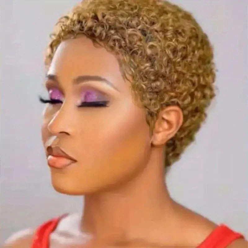 Short Kinky Curly Wigs Human Hair Pixie Cut Brazilian Human Hair For Women Natural Black Glueless Curly Human Hair Wigs