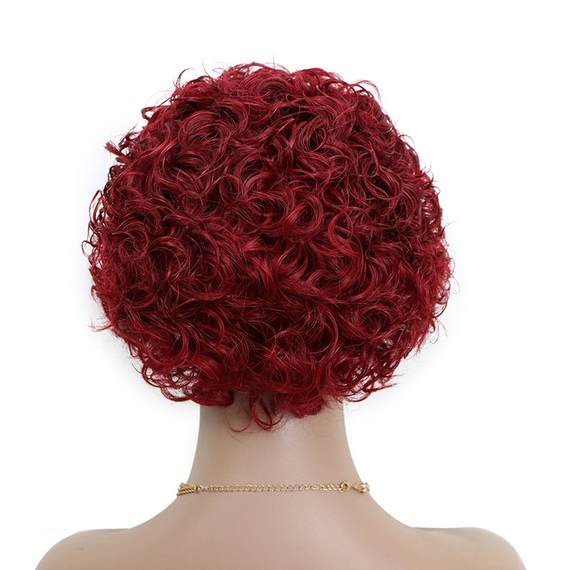 Facoty Wholesale Pixie Wigs Real Natural Russian Hair Bob HD Kinky Curly Human Hair Deep Wave Lace Frontal Wig For Black Women