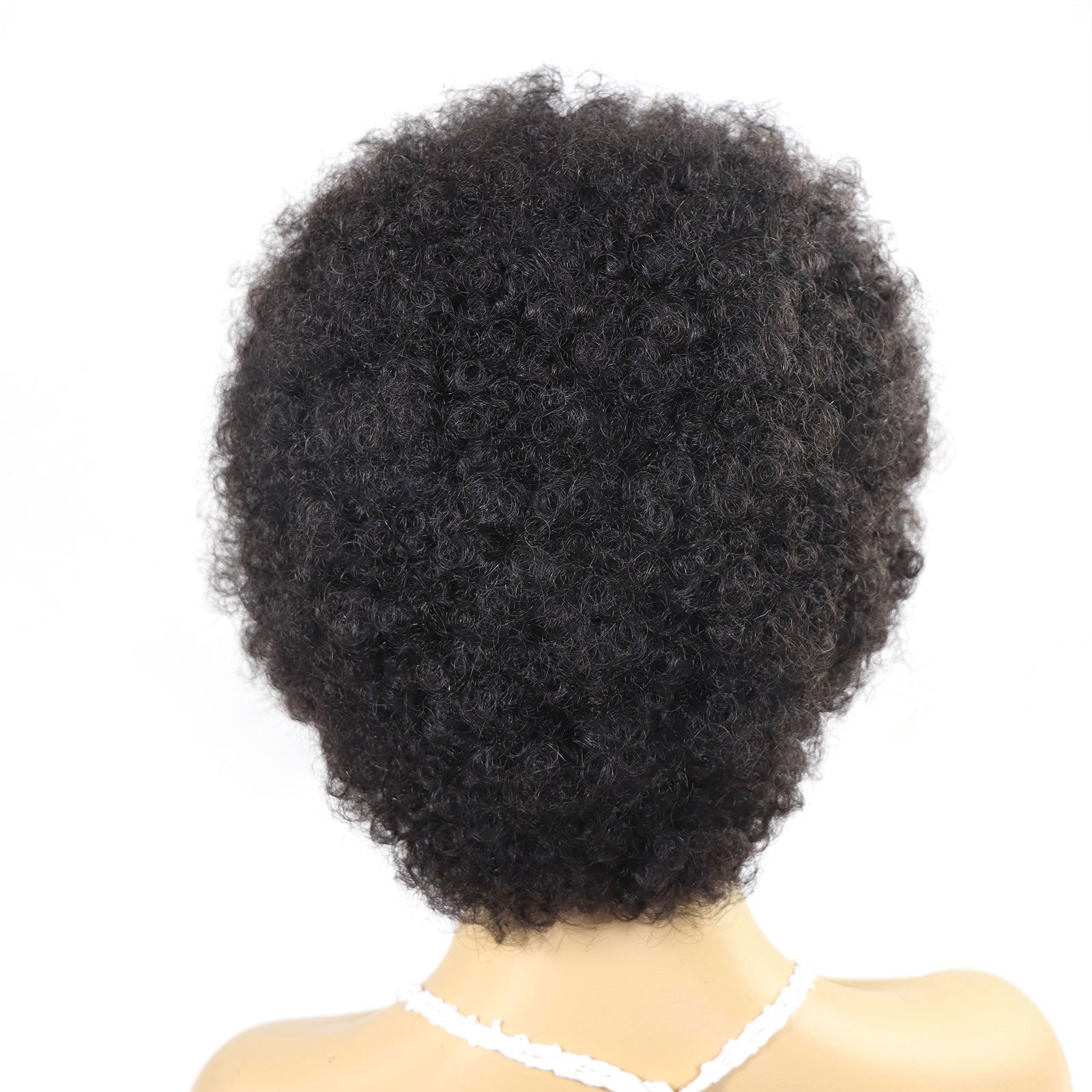 Short Afro Kinky Curly Human Hair Wig for Black Women 13x4 Lace Front Wigs Natural Hairline